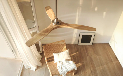 Ceiling fans Ceiling fans