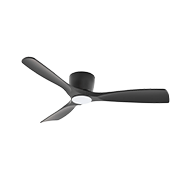 Fans Fans