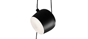 Pendant Lights with Plug